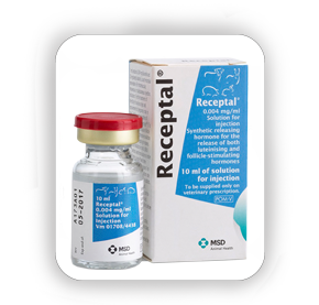 Receptal ( GnRH )