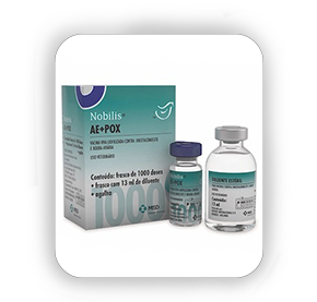 Nobilis AE+POX